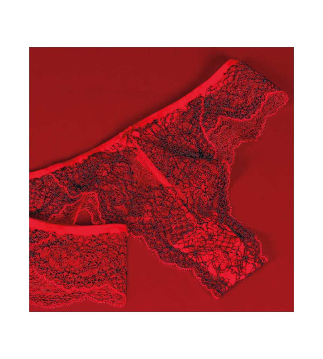 Montse Pedrosa | Braga o Culotte 41496E de Admas Montse Pedrosa | Braga o Culotte 41496E de Admas