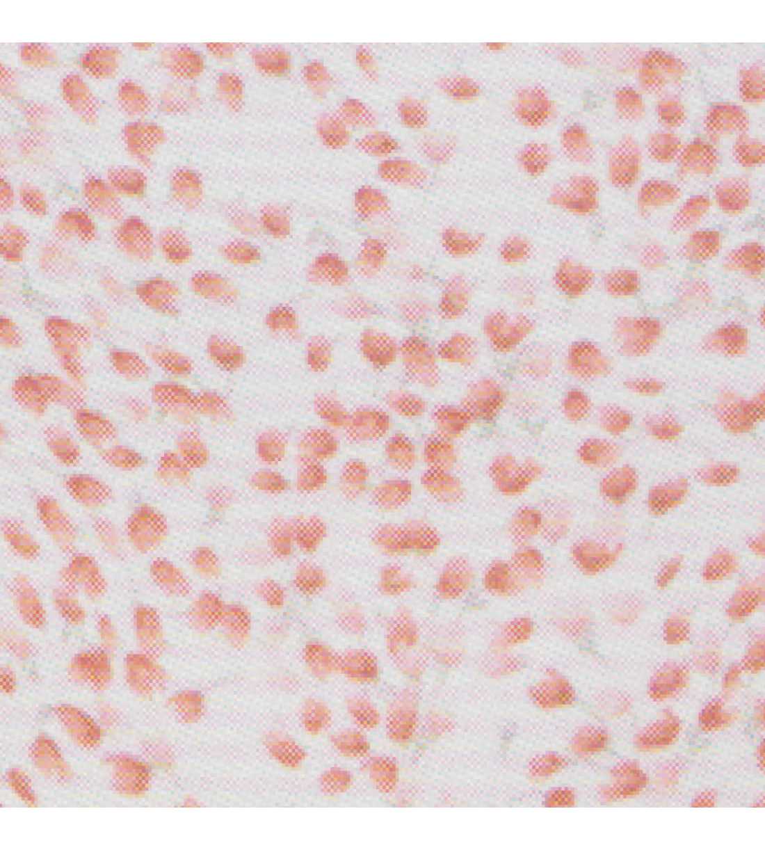 Montse Pedrosa | Braga 32022 de Avet color Frambuesa Montse Pedrosa | Braga 32022 de Avet color Frambuesa