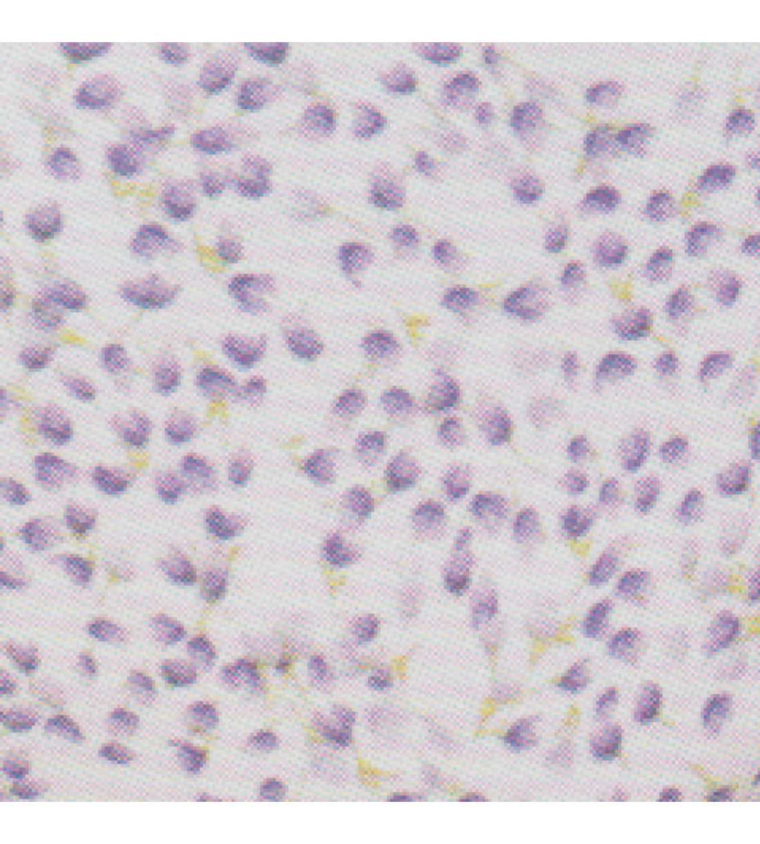 Montse Pedrosa | Braga 32022 de Avet color Malva Montse Pedrosa | Braga 32022 de Avet color Malva