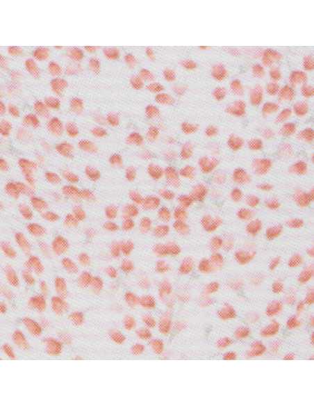 Montse Pedrosa | Braga 33022 de Avet color Frambuesa Montse Pedrosa | Braga 33022 de Avet color Frambuesa