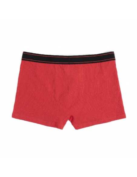 Montse Pedrosa | Bóxer Vuelvo a casa 48613 de Admas Montse Pedrosa | Bóxer Vuelvo a casa 48613 de Admas