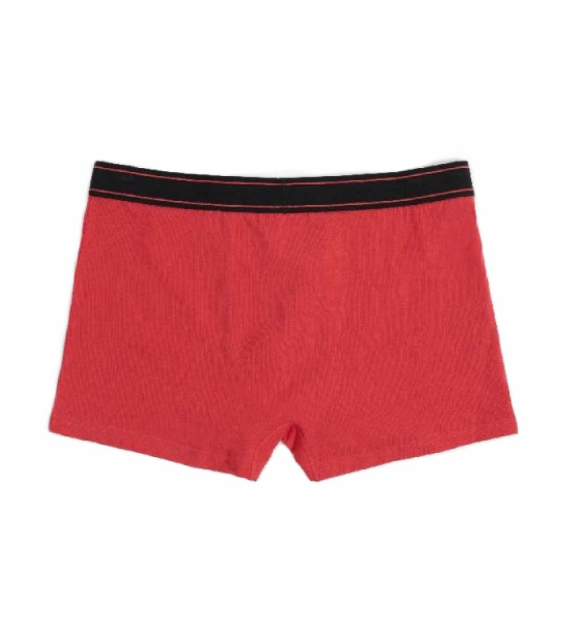 Montse Pedrosa | Bóxer Vuelvo a casa 48613 de Admas Montse Pedrosa | Bóxer Vuelvo a casa 48613 de Admas