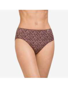 Motse Pedrosa | Braga 32074 de Avet