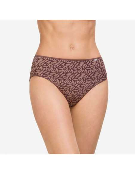 Motse Pedrosa | Braga 32074 de Avet Motse Pedrosa | Braga 32074 de Avet